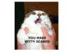 kitty_scared13.jpg